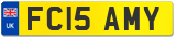 FC15 AMY