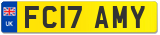 FC17 AMY