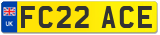 FC22 ACE