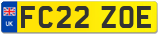 FC22 ZOE