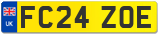 FC24 ZOE