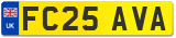 FC25 AVA