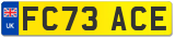 FC73 ACE