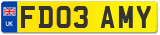 FD03 AMY