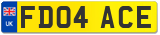 FD04 ACE