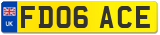 FD06 ACE