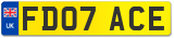 FD07 ACE