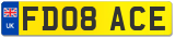 FD08 ACE