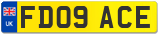 FD09 ACE