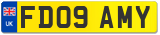 FD09 AMY