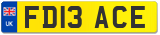 FD13 ACE