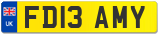 FD13 AMY