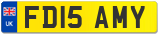 FD15 AMY
