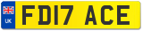 FD17 ACE