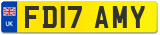 FD17 AMY