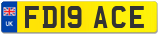 FD19 ACE