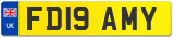 FD19 AMY