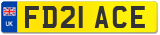 FD21 ACE