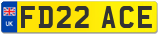 FD22 ACE