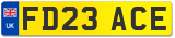 FD23 ACE