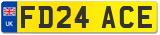 FD24 ACE