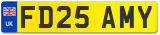 FD25 AMY