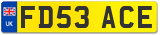 FD53 ACE