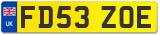 FD53 ZOE