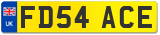 FD54 ACE