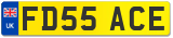 FD55 ACE