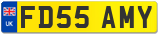 FD55 AMY