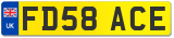 FD58 ACE