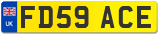 FD59 ACE