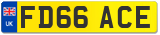 FD66 ACE