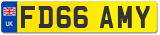 FD66 AMY