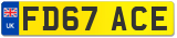 FD67 ACE