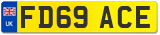 FD69 ACE