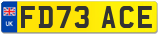 FD73 ACE