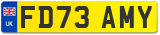 FD73 AMY