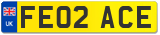 FE02 ACE