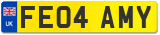 FE04 AMY