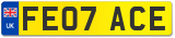 FE07 ACE