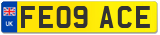 FE09 ACE