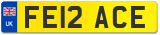 FE12 ACE