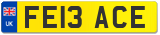 FE13 ACE