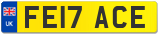 FE17 ACE