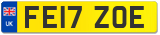 FE17 ZOE