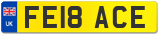 FE18 ACE