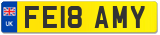 FE18 AMY