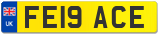 FE19 ACE